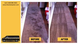 The Best Carpet Cleaning Services In San Jose CA