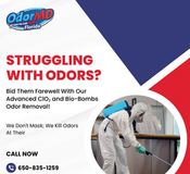 Top-Tier Odor Removal Services in Cape Coral