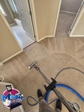 Your Trusted Choice For Carpet Cleaning in Parker CO