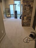 Experience the Top-Notch Carpet Cleaning in Parker CO