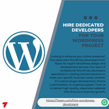 Hire Dedicated WordPress Developer