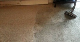 Your Trusted Local Experts for Carpet Cleaning in Los Angeles