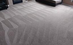 Top-Rated Carpet Cleaning in Parker CO