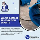 Indianapolis's Premier Water Mitigation Experts