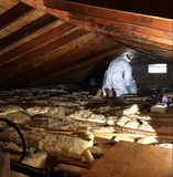 Mold Removal Toronto Cost: Quality Service at Competitive Rates