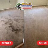 Quality Carpet Cleaning in San Jose CA