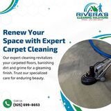 Exceptional Carpet Cleaning in Concord, CA