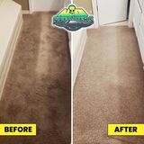 Affordable Carpet Cleaning In Las Vegas NV