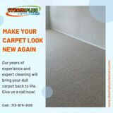 High-Quality Carpet Cleaning in Sugar Land