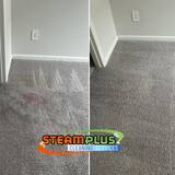 Professional Carpet Cleaning in Richmond TX