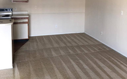 Best Carpet Cleaning in Lehigh Acres FL