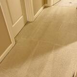 Experience the Exceptional Carpet Cleaning in Hillsboro OR