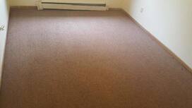 Unmatched Carpet Cleaning for Newton IA