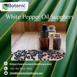 Botanic Healthcare: Your Premier White Pepper Oil Suppliers for Quality and Excellence :