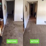 Reliable Carpet Cleaning in Cape Coral, FL