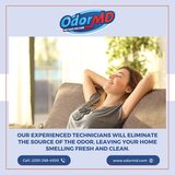 Top-Rated Odor Removal Services in Cape Coral