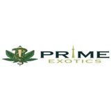 Prime Exotics