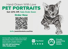 Pet Portraits