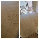 Witness Precise Carpet Cleaning in Santa Monica