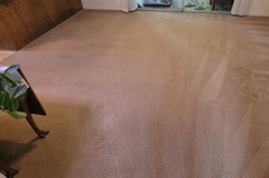 Comprehensive Carpet Cleaning in Granada Hills