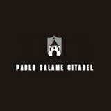 Pablo Salame Citadel