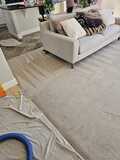 Professional Carpet Cleaning in Castle Rock CO