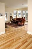 London's Trusted Choice for Floor Sanding