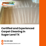 Certified and Experienced Carpet Cleaning in Sugar Land TX