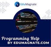 Avail USA’s Best Online Programming Help by Edumagnate