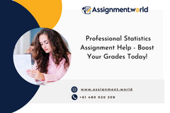 Professional Statistics Assignment Help - Boost Your Grades Today!