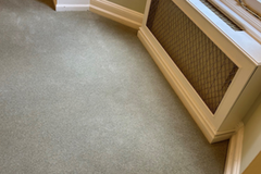 Top-Tier Carpet Cleaning in Lehigh Acres