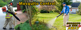 Medfield, MA Mosquito Control - Mosquito & Tick AWAY