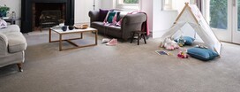 Step on Elegance: Plymouth's Premier Carpet Selection