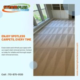 Unveil the Beauty of Your Carpets with Our Expertise!