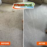 Professional Carpet Cleaning in Sugar Land TX