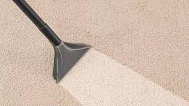 Cobalt Carpet Cleaning Calgary