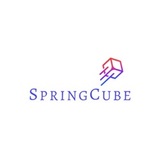 Spring Cube Tech Jobs Pte Ltd