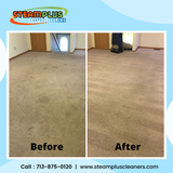 Professional Carpet Cleaning Service in Sugar Land TX