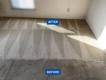 Top-Most Carpet Cleaning Professionals in Charlotte NC