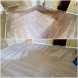 Expert Carpet Cleaning in San Diego for a Fresh Home!