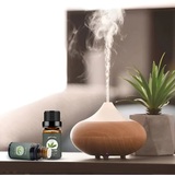 Enhance your health with every breath by elevating your home environment