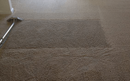 Affordable Carpet Cleaning in Centennial CO