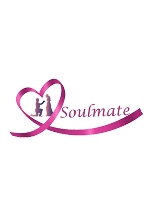 Soulmate Journey Book