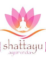 Local Business Ayurvedic Treatment in Ahmedabad - Shattayu Ayurveda in Ahmedabad 