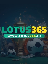 Local Business Lotus365 in pune 