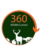 Local Business 360 Wildlife Control in Tiptoe 