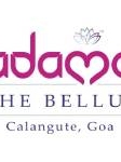 Local Business Adamo The Bellus in Calangute 