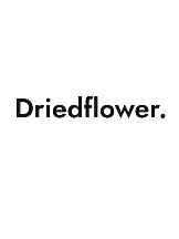 Dried Flower Delivery