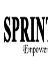 Sprintzeal Americas Inc.