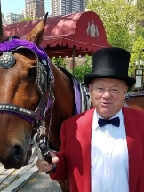 Central Park Carriages